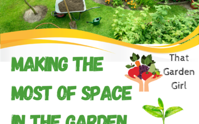 MAKING THE MOST OF YOUR SPACE IN THE GARDEN