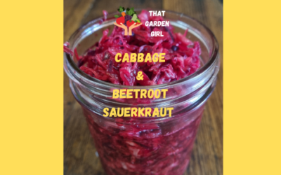 Cabbage & Beetroot Sauerkraut