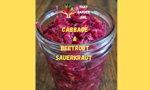 Cabbage & Beetroot Sauerkraut