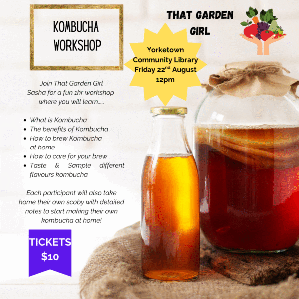 YORKETOWN LIBRARY - BEGINNERS LEARN HOW TO MAKE KOMBUCHA WORKSHOP