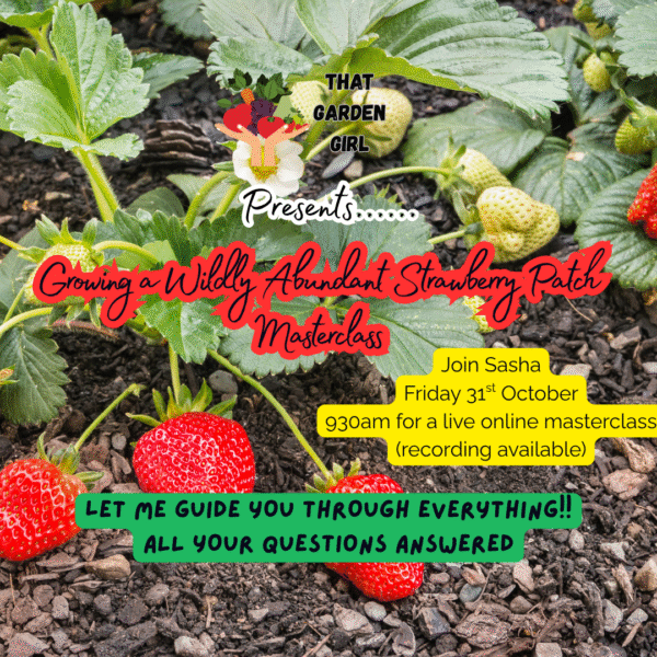 Growing a Wildly Abundant Strawberry Patch Masterclass